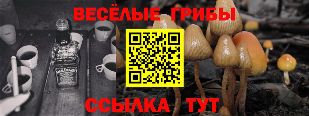 Кемерово  Псилоцибиновые грибы Magic Shrooms  купить закладку  Вход с VPN 